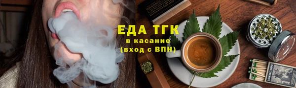 гашик Мегион