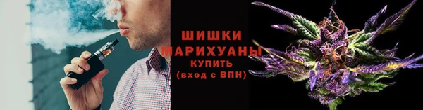 гашик Мегион