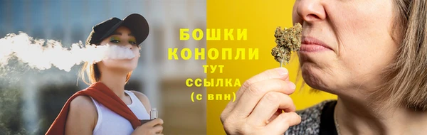 PSILOCYBIN Дмитриев