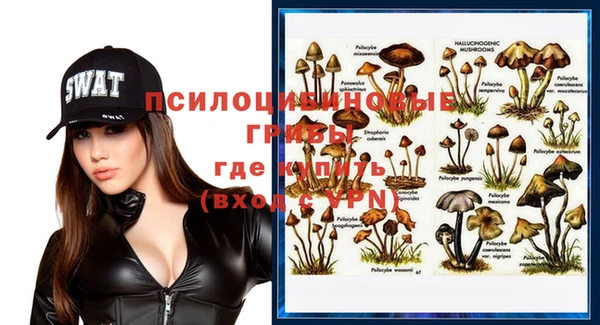 таблы Медногорск