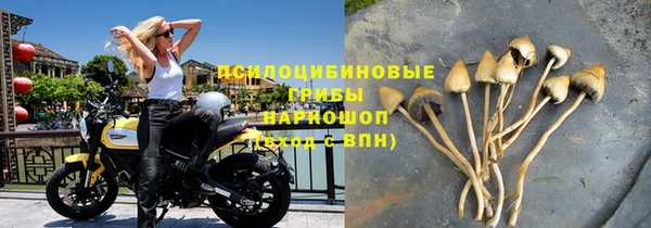 таблы Медногорск