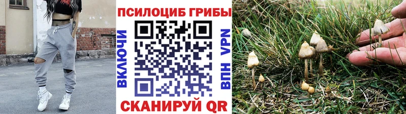 Псилоцибиновые грибы мицелий  Бирюсинск 