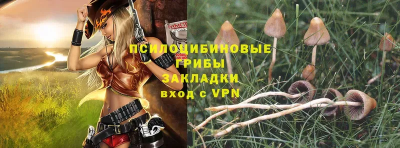 Галлюциногенные грибы MAGIC MUSHROOMS  купить наркотики сайты  Бирюсинск 